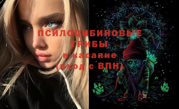 мяу мяу мука Бородино