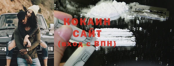 мяу мяу мука Бородино