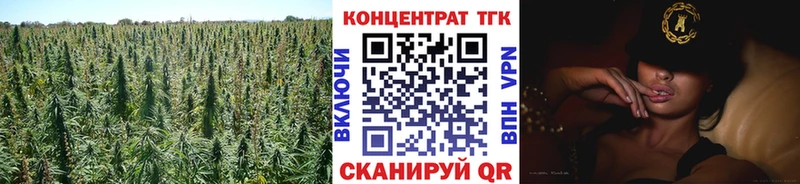 Купить закладки  Рошаль  ТГК жижа 
