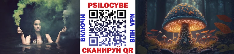 Купить  Рошаль  Псилоцибиновые грибы Cubensis 